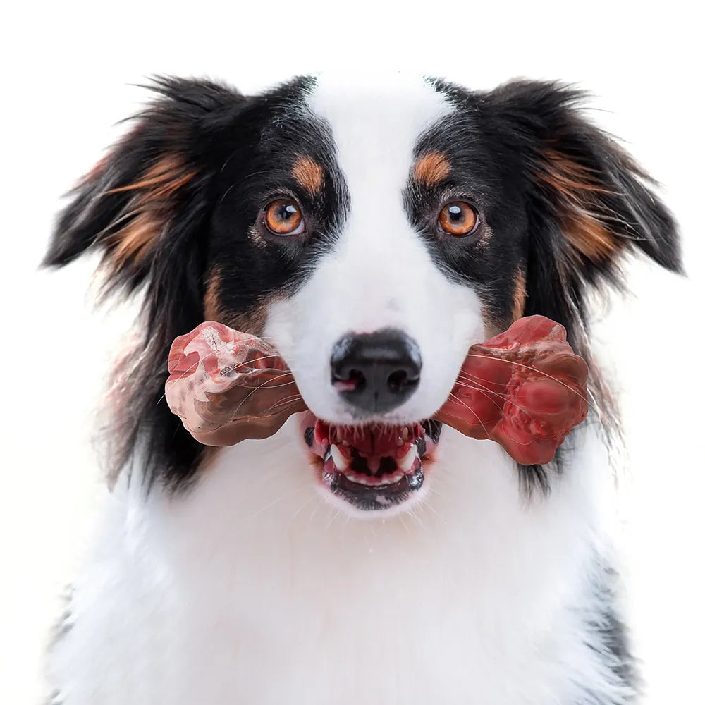 Durable  Bone Shape Dog Teeth Cleaning Chew Toy with Natural Rubber