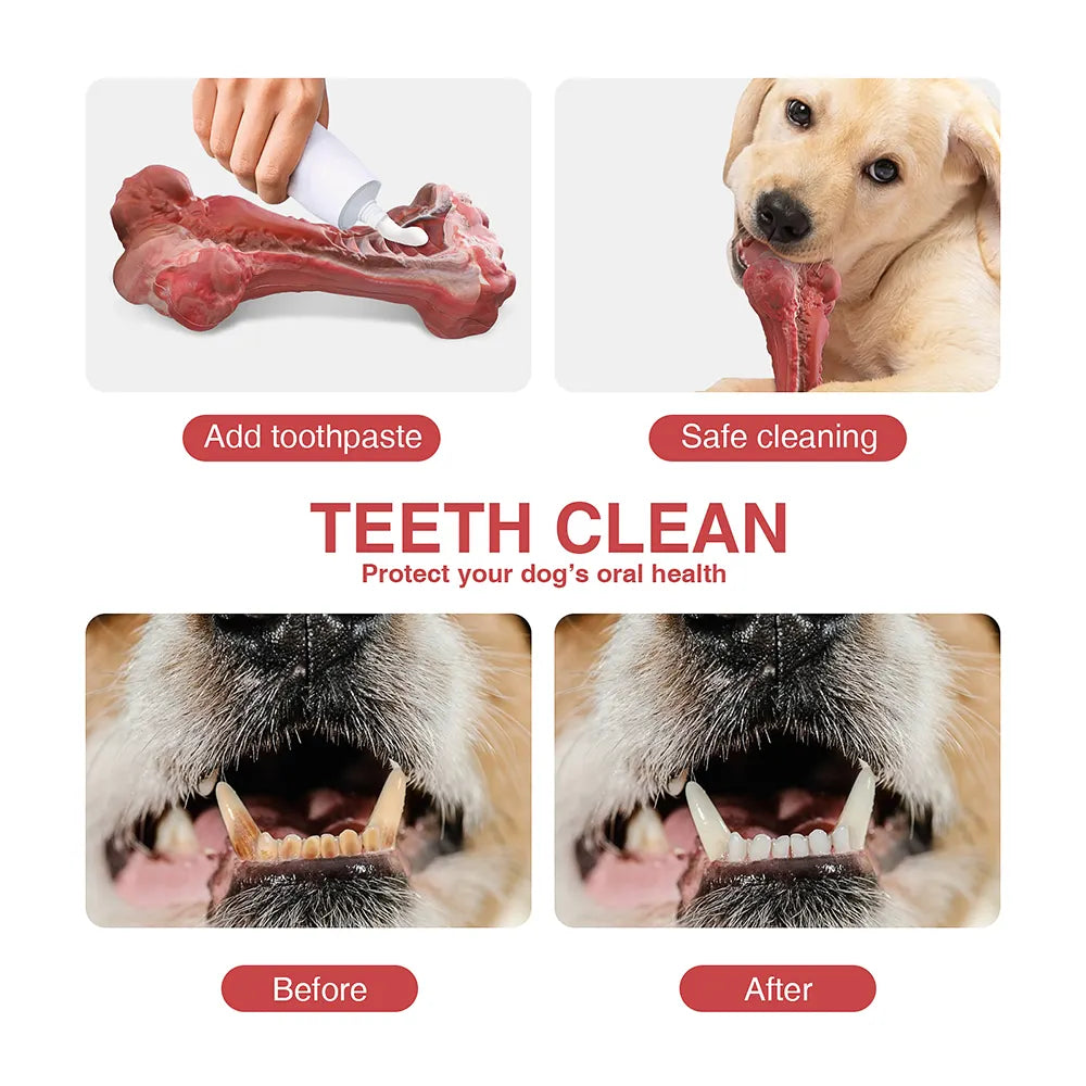 Durable  Bone Shape Dog Teeth Cleaning Chew Toy with Natural Rubber