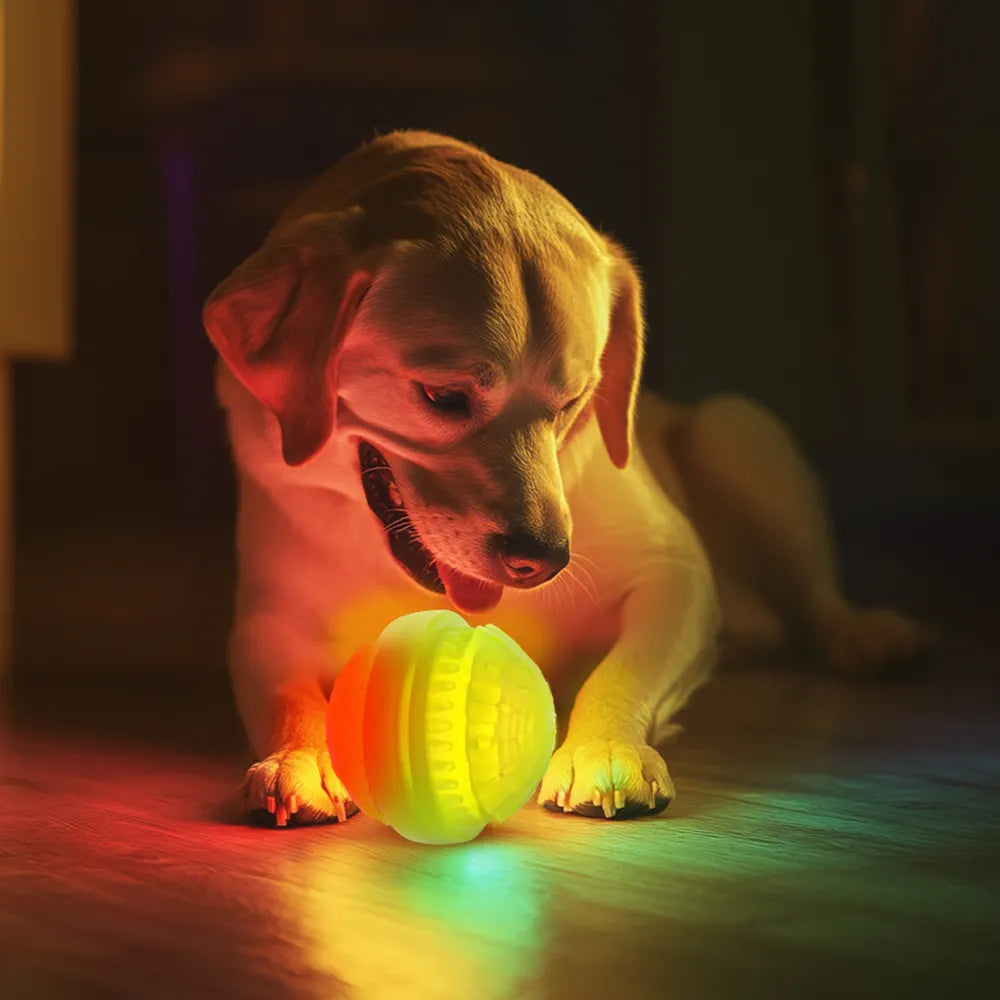 Rechargeable LED Light up Interactive Dog Chew Toy Ball Eco-Friendly Silicone Glow in the Dark Puppy Dog Chewing Toys Ball